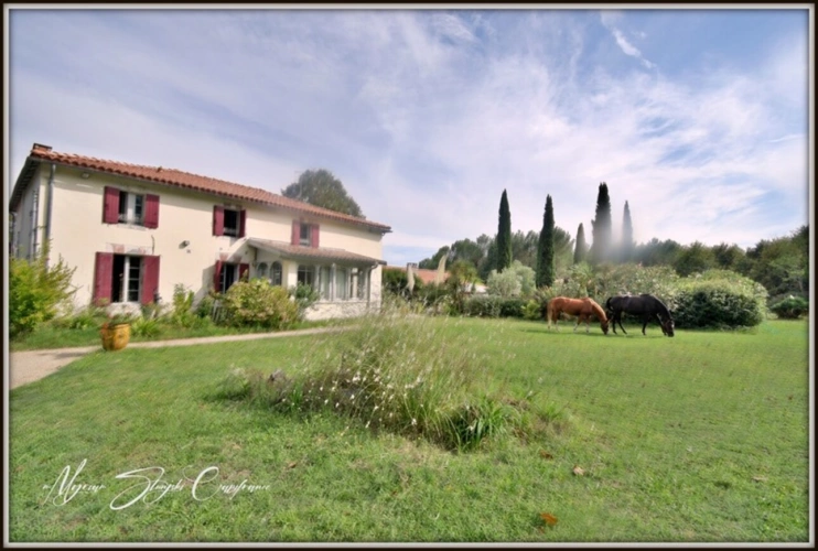 Photos 2 - Equestrian - CLOSE TO BISCARROSSE Property for sale T10 of approximately 360 m² (40) ON 5 HECTARES