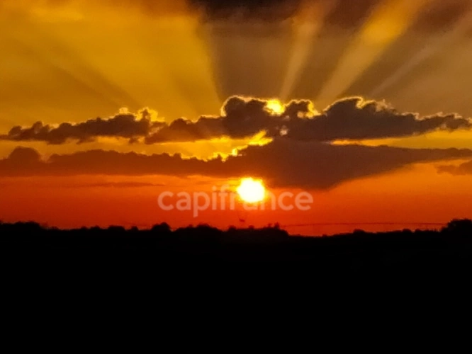 Photos 16 - Prestige - MAGNIFIQUE CORPS DE FERME 205 M2 AVEC UN PARC DE 3000 M2 A FOURQUES SUR GARONNE