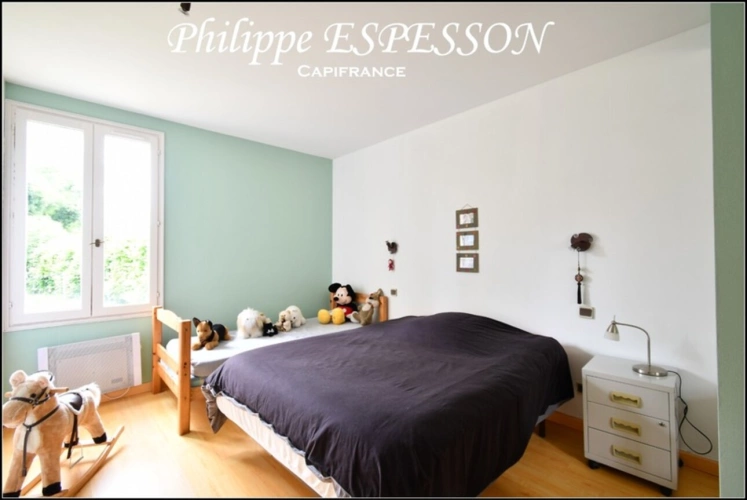 Photos 9 - Prestige - MAGNIFIQUE CORPS DE FERME 205 M2 AVEC UN PARC DE 3000 M2 A FOURQUES SUR GARONNE