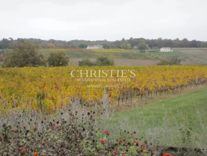 Photos 17 - Prestigious - Historic vineyard estate in the heart of Entre-Deux-Mers - a treasure of Bordeaux heritage waiting t