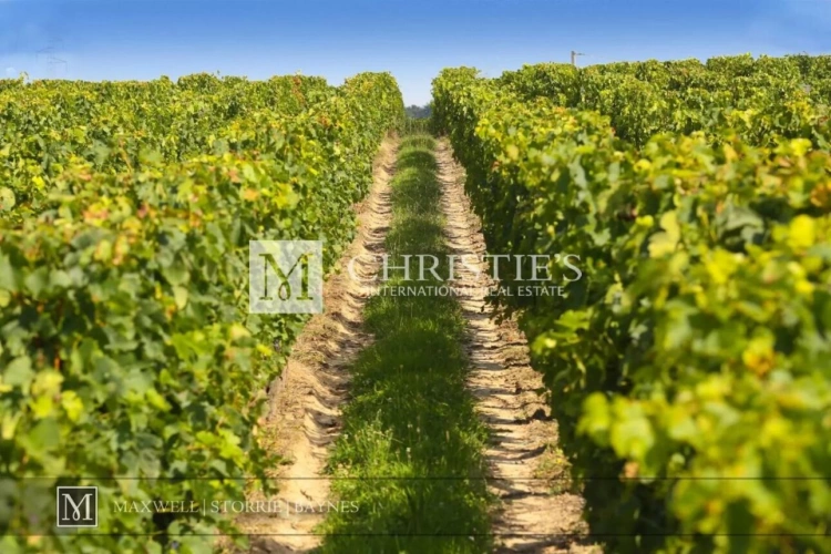 Photos 18 - Prestigious - Historic vineyard estate in the heart of Entre-Deux-Mers - a treasure of Bordeaux heritage waiting t