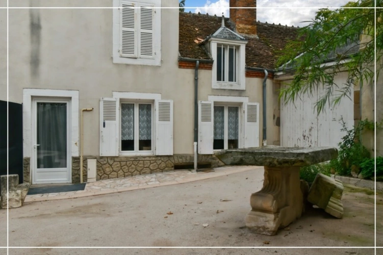 Photos 29 - Touristique - Proprieté comprenant 2 maison et 1 appartement CHATEAUMEILLANT (18)