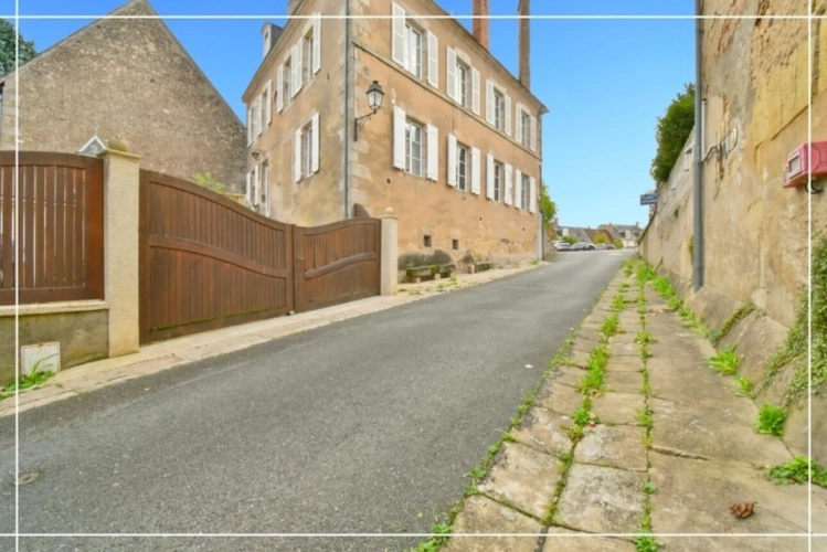 Photos 37 - Touristique - Proprieté comprenant 2 maison et 1 appartement CHATEAUMEILLANT (18)