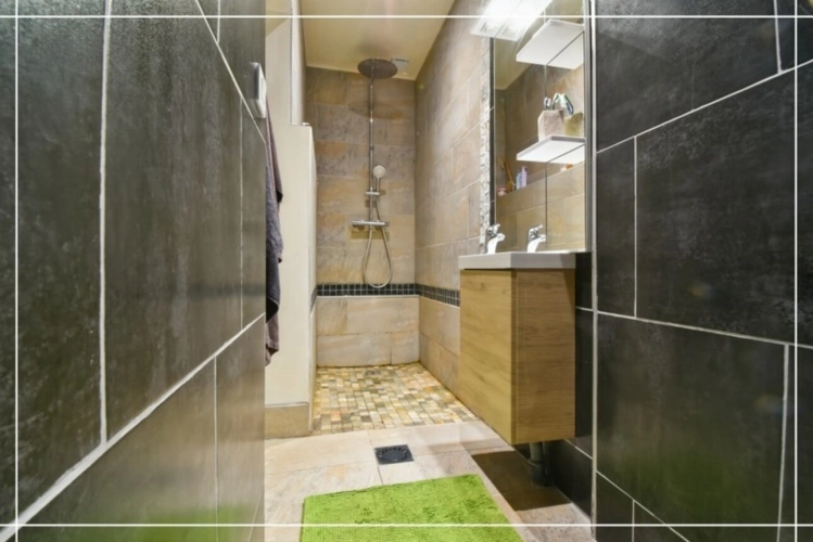 Photos 41 - Touristique - Proprieté comprenant 2 maison et 1 appartement CHATEAUMEILLANT (18)