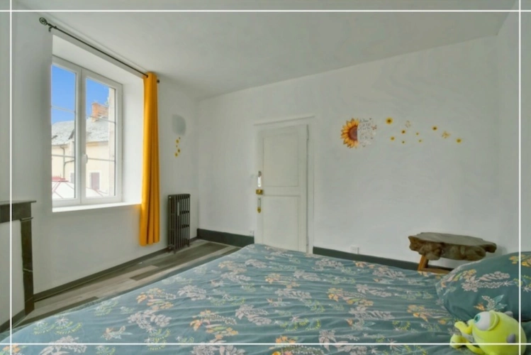 Photos 62 - Touristique - Proprieté comprenant 2 maison et 1 appartement CHATEAUMEILLANT (18)