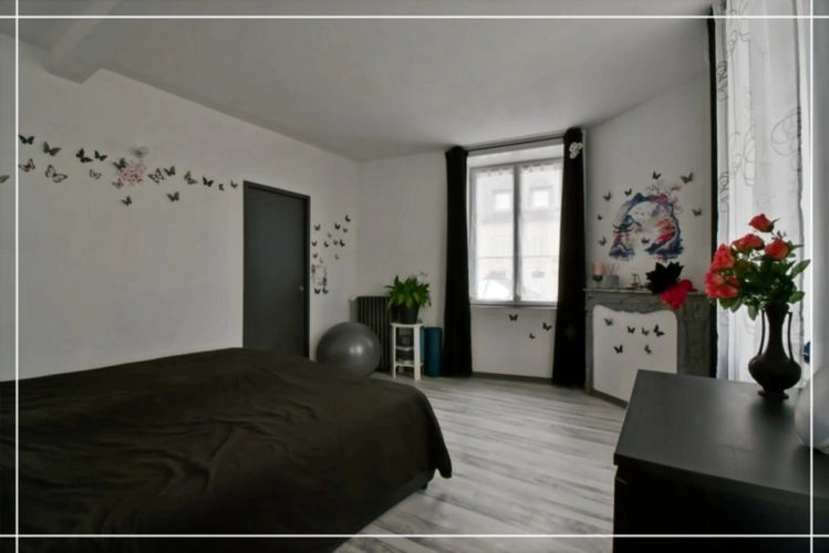 Photos 63 - Touristique - Proprieté comprenant 2 maison et 1 appartement CHATEAUMEILLANT (18)