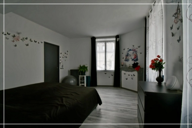 Photos 64 - Touristique - Proprieté comprenant 2 maison et 1 appartement CHATEAUMEILLANT (18)