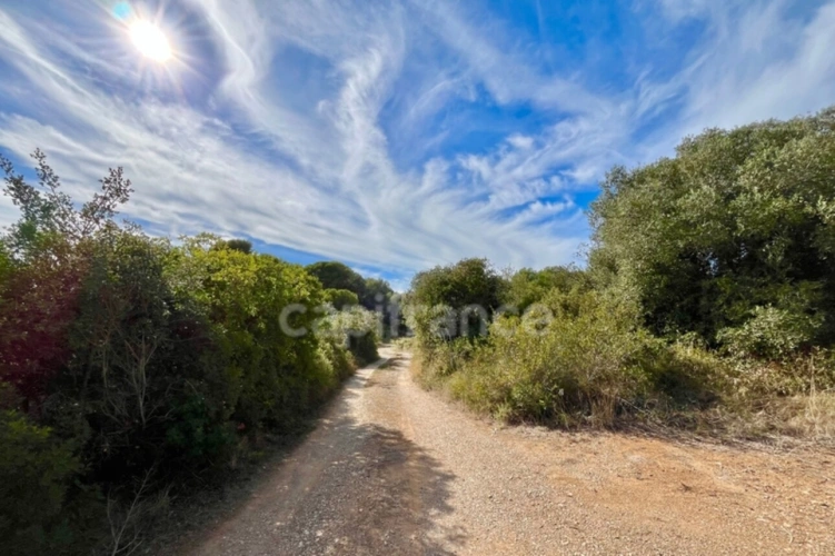 Photos 3 - Foncière - Parcelle agricole AE mazet à reconstruire totalement