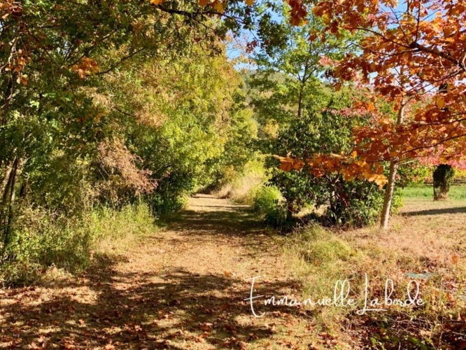 Photos 21 - Prestige - Domaine en pierre avec dépendances et 5 hectares de nature – Monbazillac (24240)