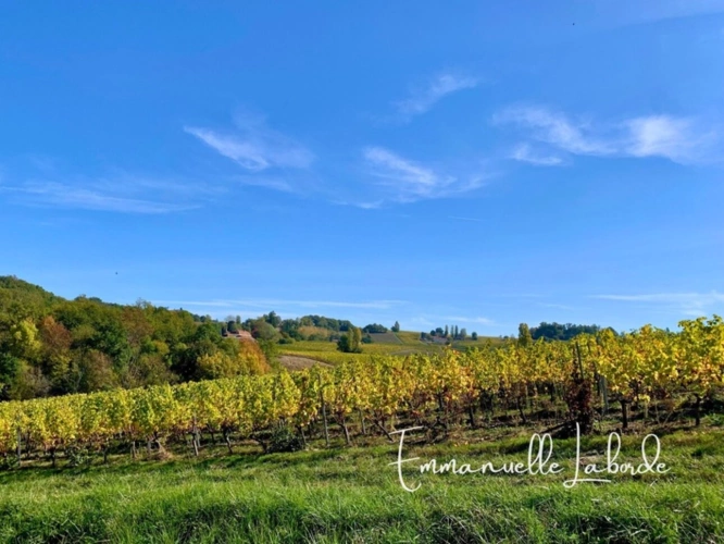 Photos 22 - Prestige - Domaine en pierre avec dépendances et 5 hectares de nature – Monbazillac (24240)