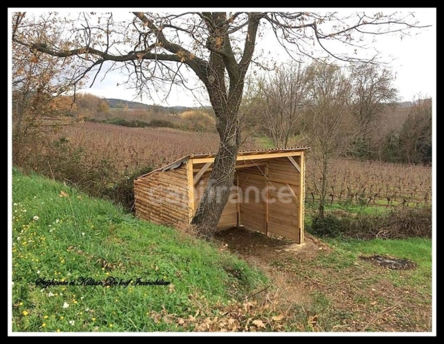 Photos 5 - Agricole - Terrain à vendre  ALIGNAN DU VENT (34)