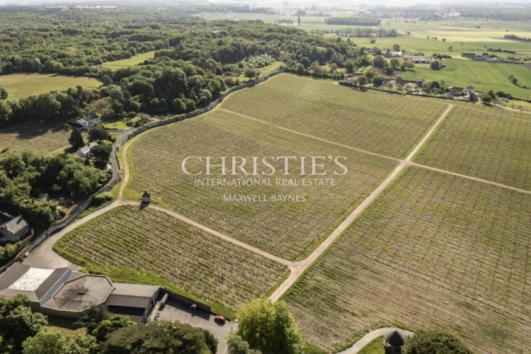 Photos 3 - Viticole - Château avec son vignoble Saumur AOC de 15Ha entre Chinon et Saumur