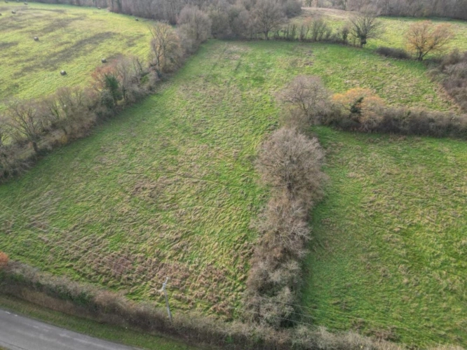 Photos 2 - Forestière - VENDU Prairie naturelle dans l'INDRE