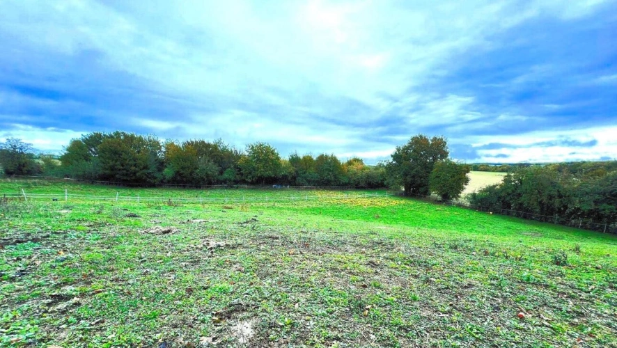 Photos 2 - Équestre - Prairie de 6500 m2 avec box et hangar