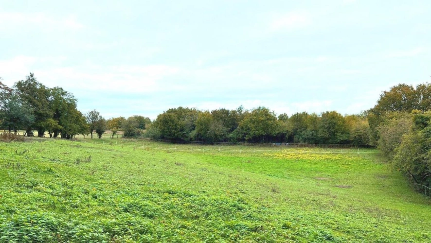 Photos 3 - Équestre - Prairie de 6500 m2 avec box et hangar