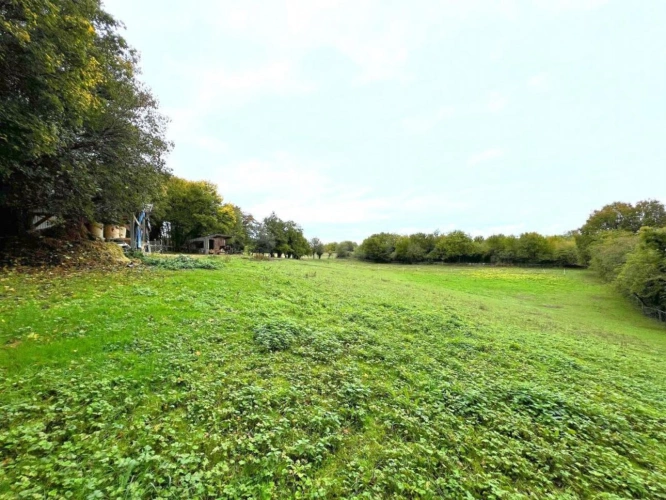 Photos 4 - Équestre - Prairie de 6500 m2 avec box et hangar