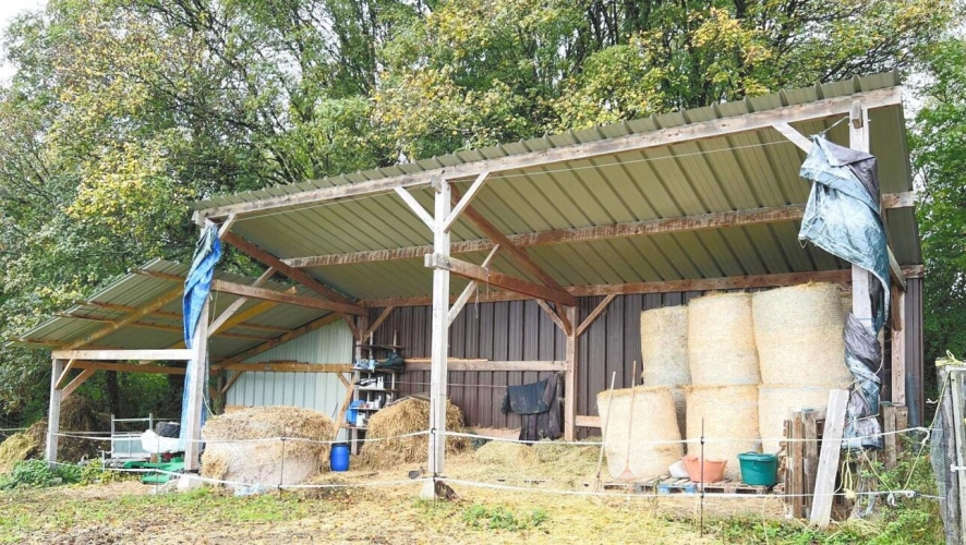 Photos 8 - Équestre - Prairie de 6500 m2 avec box et hangar