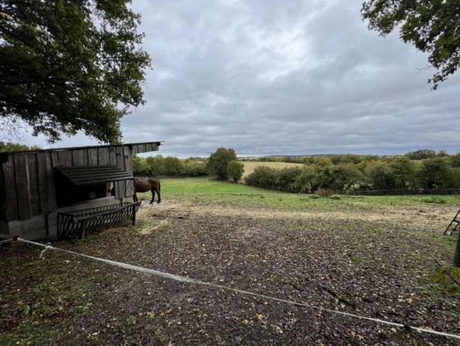 Photos 11 - Équestre - Prairie de 6500 m2 avec box et hangar