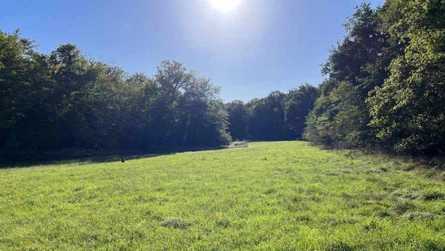 Photos 2 - Foncière - Propriété mixte agricole et forestière de 18ha