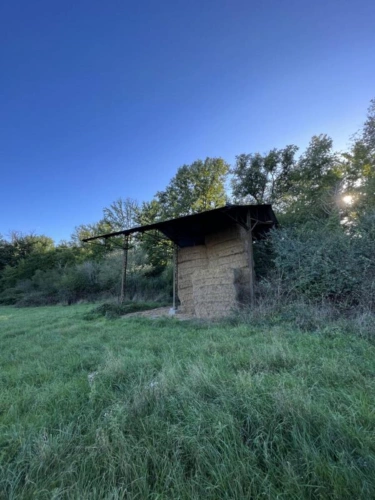 Photos 5 - Foncière - Propriété mixte agricole et forestière de 18ha