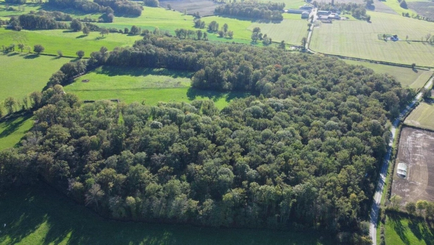 Photos 2 - Forestière - Futaie de chênes sur 14ha
