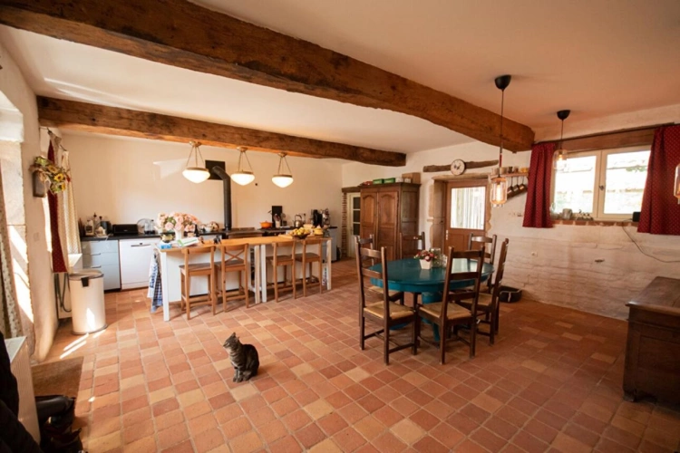 Photos 10 - Équestre - Propriété équestre et locatif 4 hectares