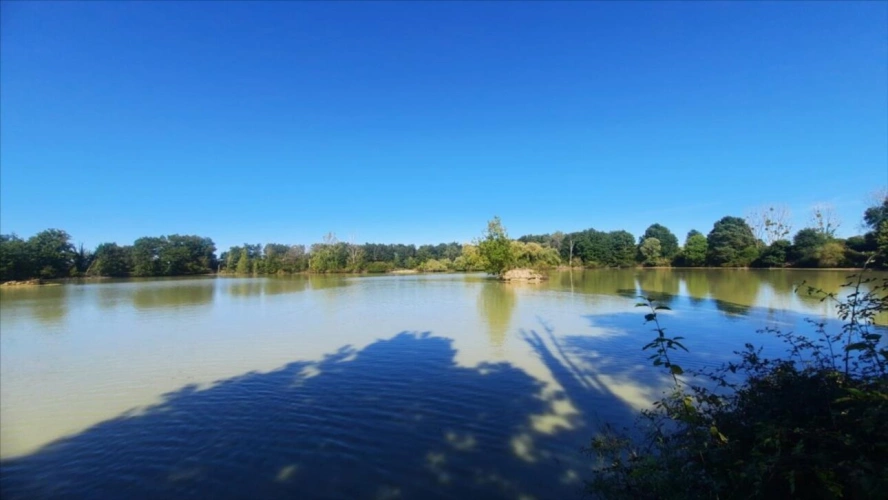 Photos 1 - Forestière - ARTHON étang