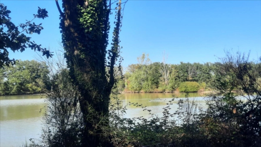 Photos 7 - Forestière - ARTHON étang