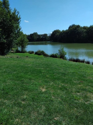 Photos 6 - Forestière - PROPRIETE EXCEPTIONNELLE AVEC  ETANG DE PECHE 5HA ET 2 MAISO