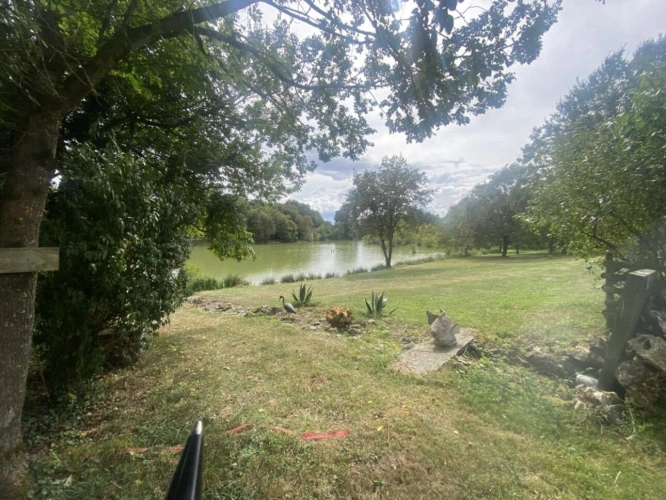 Photos 7 - Forestière - PROPRIETE EXCEPTIONNELLE AVEC  ETANG DE PECHE 5HA ET 2 MAISO