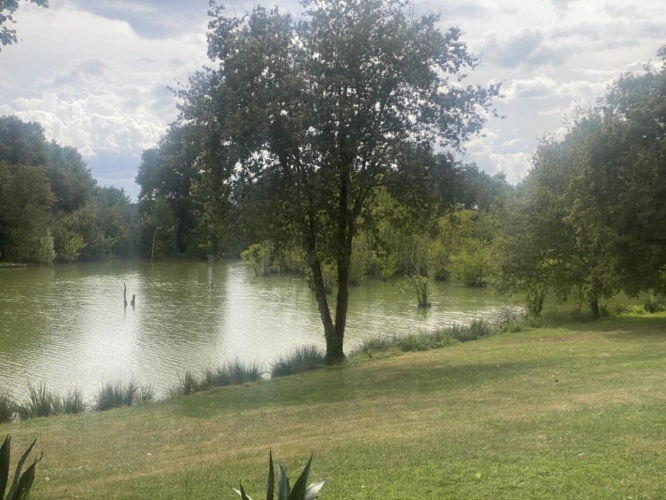 Photos 9 - Forestière - PROPRIETE EXCEPTIONNELLE AVEC  ETANG DE PECHE 5HA ET 2 MAISO