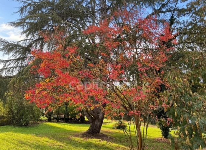 Photos 2 - Prestigious - Charming 19th-Century Residence - 9 Rooms, 255 m² with Pool and Tennis Court - Saint-Aigulin (17)