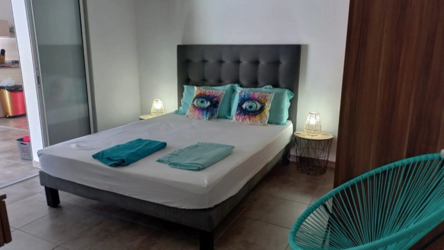 Photos 9 - Prestigious - Exceptional property for sale 4 rooms SAINT FRANCOIS (971)