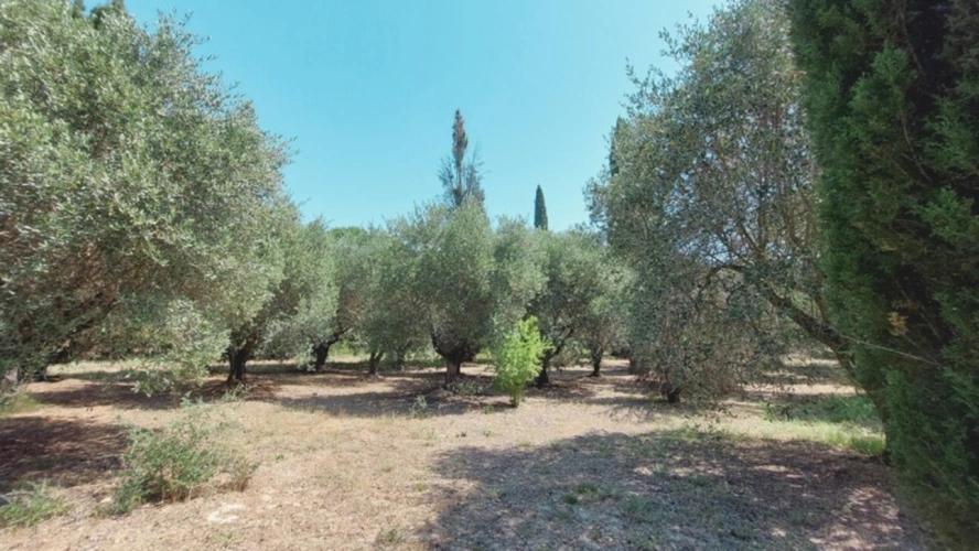 Photos 10 - Prestige - Propriete à vendre 7 pièces SAINT REMY DE PROVENCE (13)