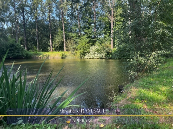 Photos 9 - Foncière - Terrain à vendre de 4 468,00 m² LARCHAMP (53)