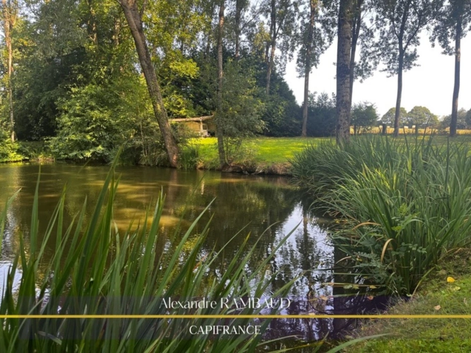 Photos 3 - Foncière - Terrain à vendre de 4 468,00 m² LARCHAMP (53)