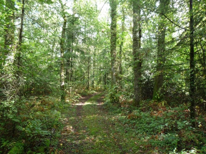 Photos 4 - Land - Building land