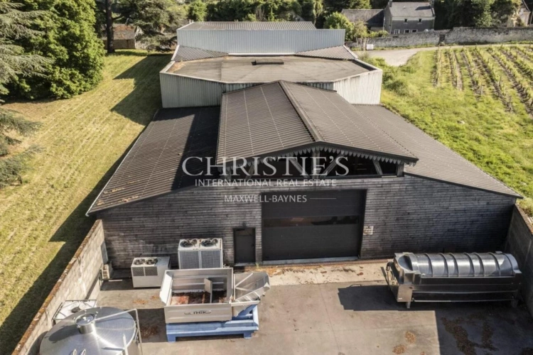 Photos 4 - Viticole - Château avec son vignoble Saumur AOC de 15Ha entre Chinon et Saumur