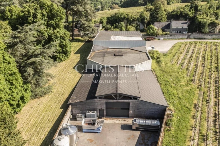 Photos 22 - Viticole - Château avec son vignoble Saumur AOC de 15Ha entre Chinon et Saumur