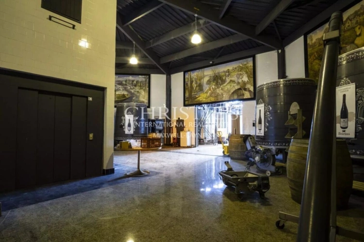 Photos 25 - Viticole - Château avec son vignoble Saumur AOC de 15Ha entre Chinon et Saumur