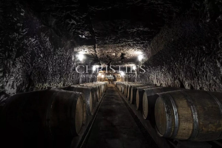 Photos 28 - Viticole - Château avec son vignoble Saumur AOC de 15Ha entre Chinon et Saumur