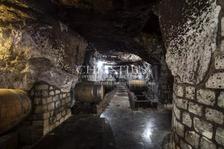 Photos 30 - Viticole - Château avec son vignoble Saumur AOC de 15Ha entre Chinon et Saumur