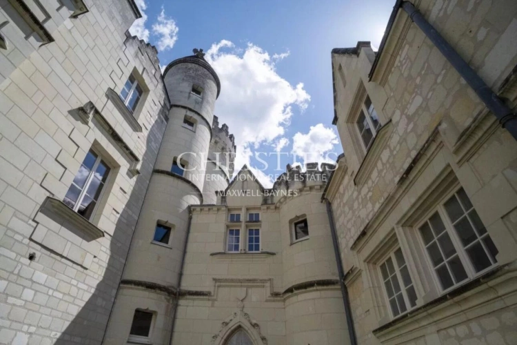 Photos 35 - Viticole - Château avec son vignoble Saumur AOC de 15Ha entre Chinon et Saumur