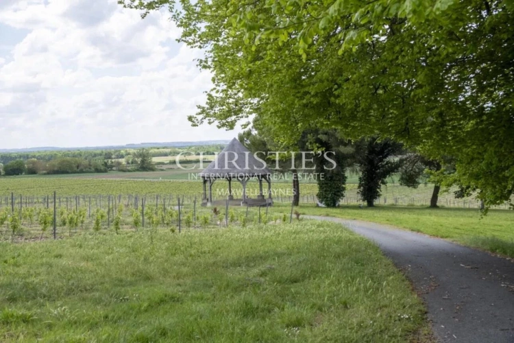 Photos 36 - Viticole - Château avec son vignoble Saumur AOC de 15Ha entre Chinon et Saumur
