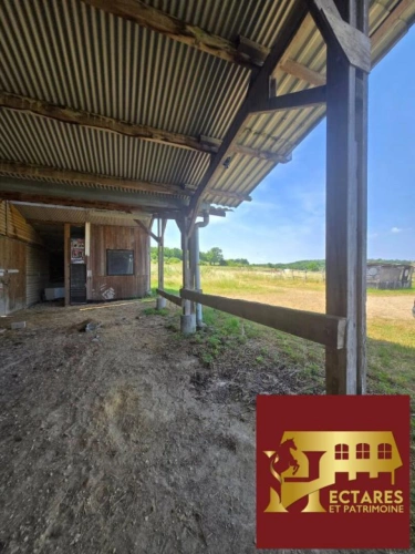 Photos 7 - Équestre - Ancien poney club sur 10 hectares -