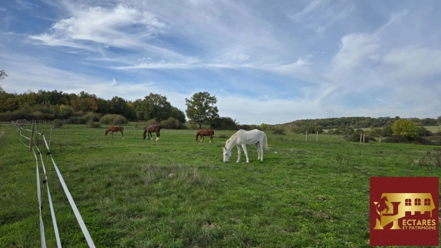 Photos 9 - Équestre - Ancien poney club sur 10 hectares -