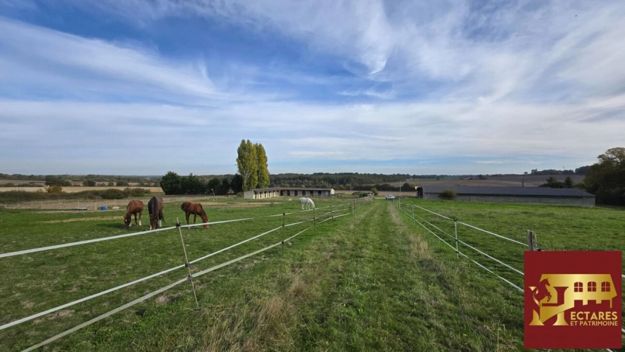 Photos 1 - Équestre - Ancien poney club sur 10 hectares -