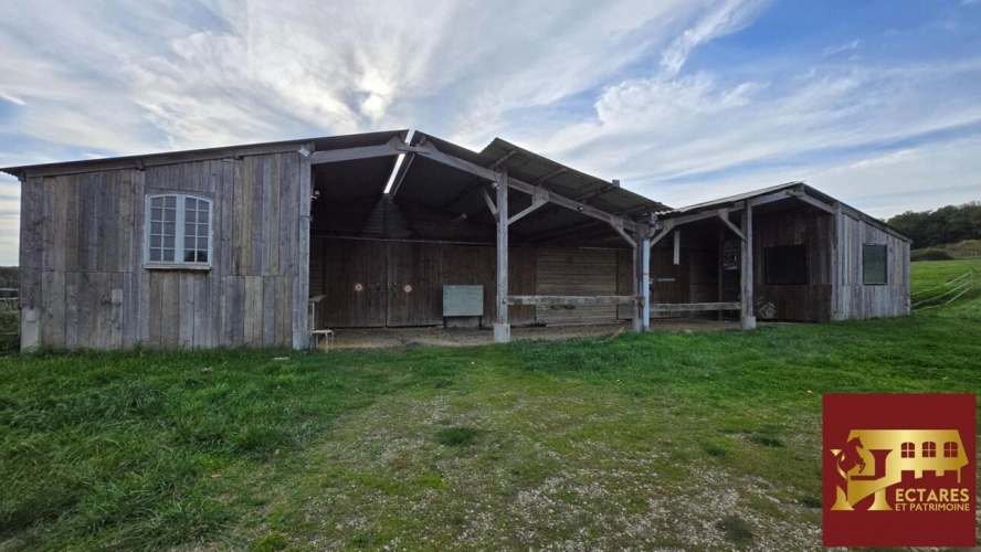 Photos 2 - Équestre - Ancien poney club sur 10 hectares -