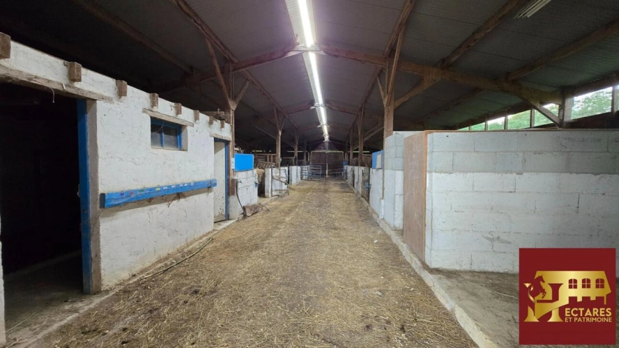 Photos 3 - Équestre - Ancien poney club sur 10 hectares -