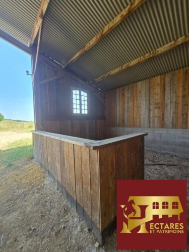 Photos 5 - Équestre - Ancien poney club sur 10 hectares -